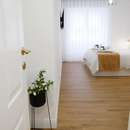 Barocci Apartamento Roma